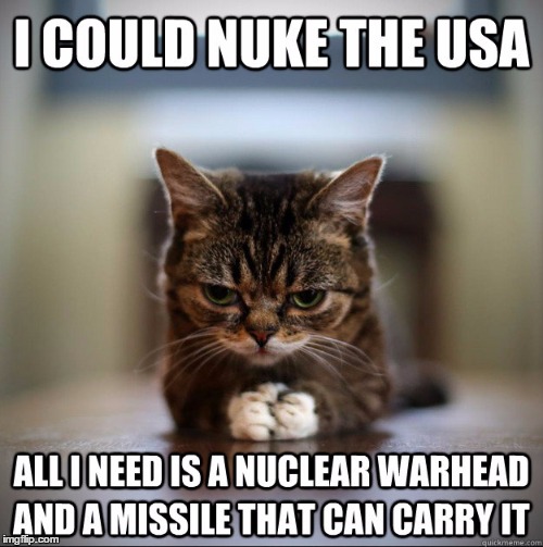 RayCat's evil twin | I COULD NUKE THE USA; ALL I NEED IS A NUCLEAR WARHEAD AND A MISSILE THAT CAN CARRY IT | image tagged in memes,nuclear bomb,cats | made w/ Imgflip meme maker