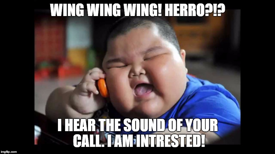 Wings | WING WING WING! HERRO?!? I HEAR THE SOUND OF YOUR CALL. I AM INTRESTED! | image tagged in memes | made w/ Imgflip meme maker