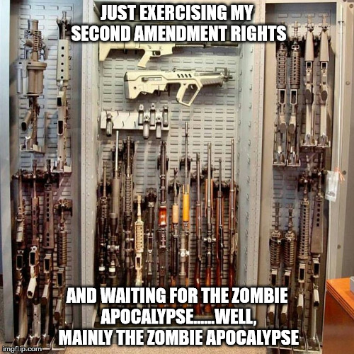 Gun Locker | JUST EXERCISING MY SECOND AMENDMENT RIGHTS; AND WAITING FOR THE ZOMBIE APOCALYPSE......WELL, MAINLY THE ZOMBIE APOCALYPSE | image tagged in 2nd amendment,zombies,apocalypse | made w/ Imgflip meme maker