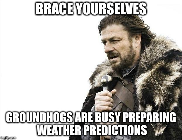 Brace Yourselves X is Coming | BRACE YOURSELVES; GROUNDHOGS ARE BUSY PREPARING WEATHER PREDICTIONS | image tagged in memes,brace yourselves x is coming | made w/ Imgflip meme maker