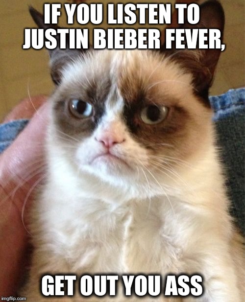 Grumpy Cat Meme | IF YOU LISTEN TO JUSTIN BIEBER FEVER, GET OUT YOU ASS | image tagged in memes,grumpy cat | made w/ Imgflip meme maker