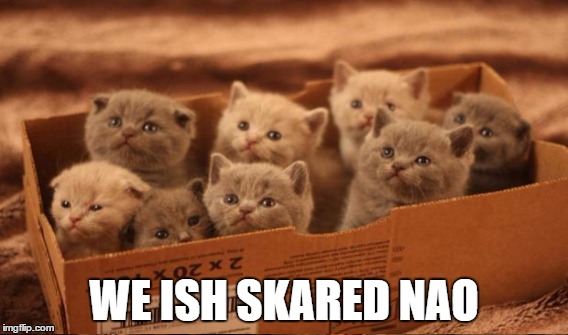 WE ISH SKARED NAO | made w/ Imgflip meme maker