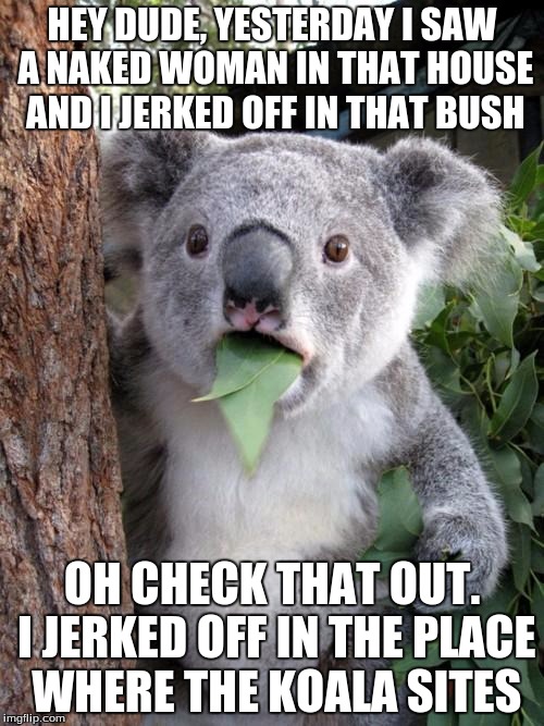 Surprised Koala | HEY DUDE, YESTERDAY I SAW A NAKED WOMAN IN THAT HOUSE AND I JERKED OFF IN THAT BUSH; OH CHECK THAT OUT. I JERKED OFF IN THE PLACE WHERE THE KOALA SITES | image tagged in memes,surprised koala | made w/ Imgflip meme maker