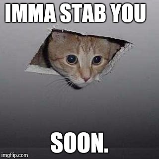 Ceiling Cat | IMMA STAB YOU; SOON. | image tagged in memes,ceiling cat | made w/ Imgflip meme maker