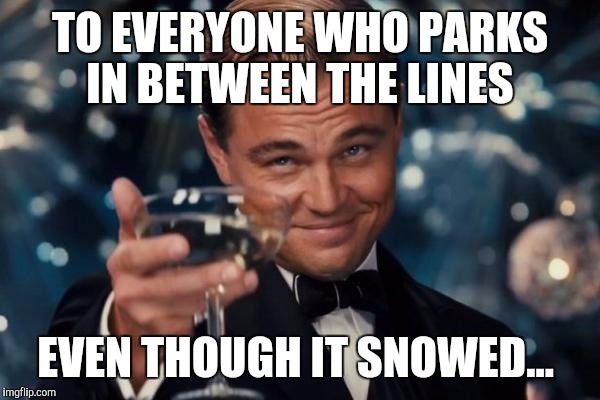 Leonardo Dicaprio Cheers | TO EVERYONE WHO PARKS IN BETWEEN THE LINES; EVEN THOUGH IT SNOWED... | image tagged in memes,leonardo dicaprio cheers | made w/ Imgflip meme maker