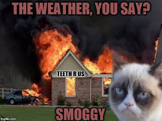 THE WEATHER, YOU SAY? SMOGGY TEETH R US | made w/ Imgflip meme maker