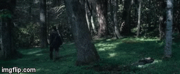 hunger games | image tagged in gifs | made w/ Imgflip video-to-gif maker