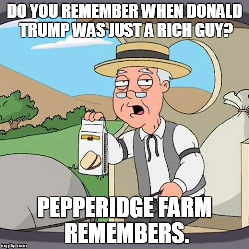 Pepperidge Farm Remembers | DO YOU REMEMBER WHEN DONALD TRUMP WAS JUST A RICH GUY? PEPPERIDGE FARM REMEMBERS. | image tagged in memes,pepperidge farm remembers | made w/ Imgflip meme maker