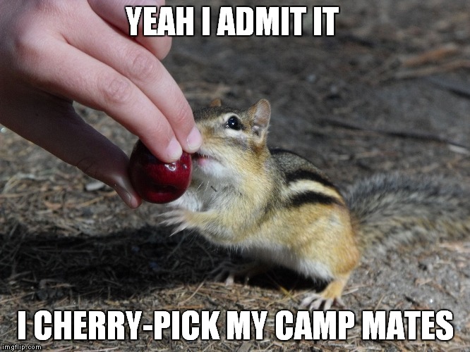 YEAH I ADMIT IT; I CHERRY-PICK MY CAMP MATES | image tagged in camping | made w/ Imgflip meme maker