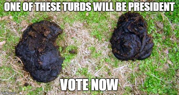 Two Turds | ONE OF THESE TURDS WILL BE PRESIDENT; VOTE NOW | image tagged in two turds,memes | made w/ Imgflip meme maker