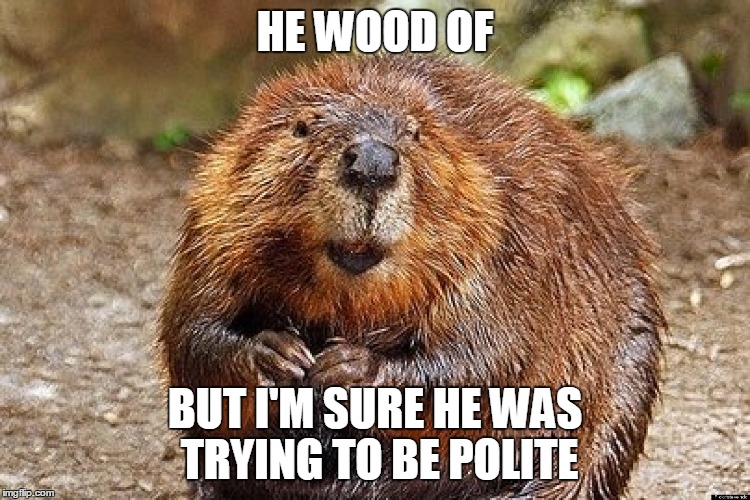 HE WOOD OF BUT I'M SURE HE WAS TRYING TO BE POLITE | made w/ Imgflip meme maker