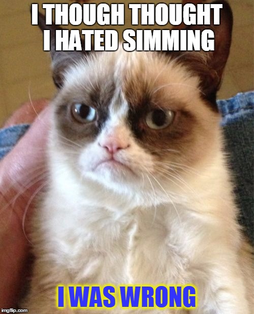 I THOUGH THOUGHT I HATED SIMMING I WAS WRONG | image tagged in memes,grumpy cat | made w/ Imgflip meme maker