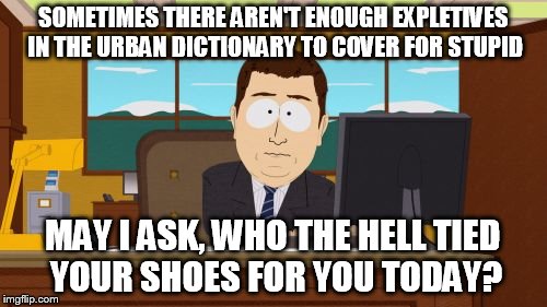 Aaaaand Its Gone | SOMETIMES THERE AREN'T ENOUGH EXPLETIVES IN THE URBAN DICTIONARY TO COVER FOR STUPID; MAY I ASK, WHO THE HELL TIED YOUR SHOES FOR YOU TODAY? | image tagged in memes,aaaaand its gone | made w/ Imgflip meme maker