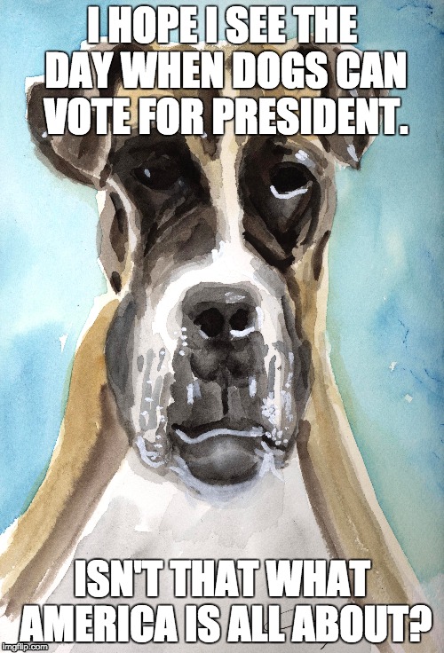 dogs should vote | I HOPE I SEE THE DAY WHEN DOGS CAN VOTE FOR PRESIDENT. ISN'T THAT WHAT AMERICA IS ALL ABOUT? | image tagged in dogs,president,vote,america,animal rights | made w/ Imgflip meme maker