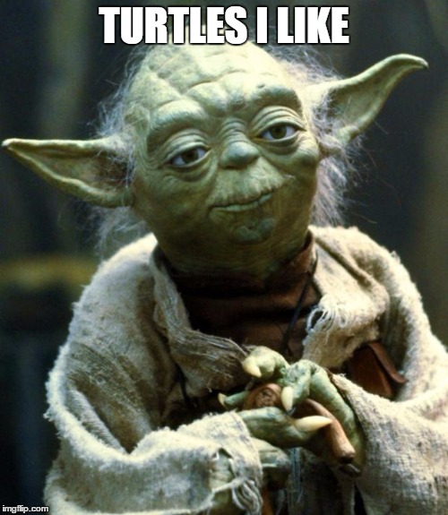 Star Wars Yoda Meme | TURTLES I LIKE | image tagged in memes,star wars yoda | made w/ Imgflip meme maker