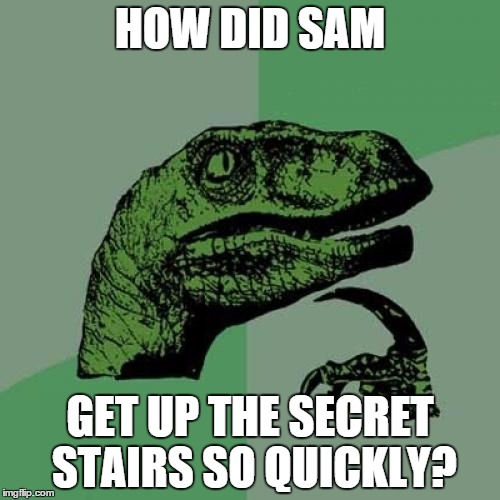 Samwise and Stairs | HOW DID SAM; GET UP THE SECRET STAIRS SO QUICKLY? | image tagged in memes,philosoraptor,the lord of the rings | made w/ Imgflip meme maker