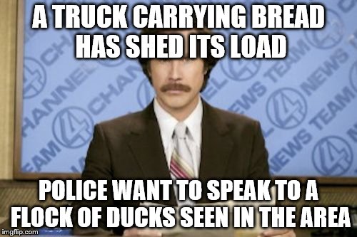Ron Burgundy Meme | A TRUCK CARRYING BREAD HAS SHED ITS LOAD; POLICE WANT TO SPEAK TO A FLOCK OF DUCKS SEEN IN THE AREA | image tagged in memes,ron burgundy,bread,ducks,animals,crash | made w/ Imgflip meme maker