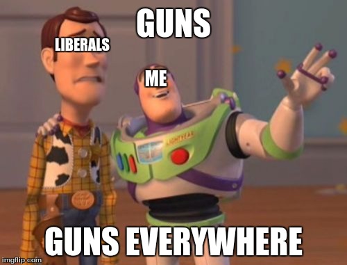 My view on gun control | GUNS; LIBERALS; ME; GUNS EVERYWHERE | image tagged in memes,x x everywhere,gun control | made w/ Imgflip meme maker