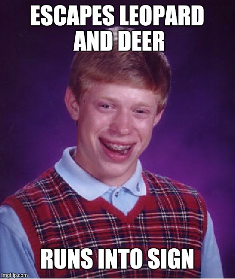 Bad Luck Brian Meme | ESCAPES LEOPARD AND DEER RUNS INTO SIGN | image tagged in memes,bad luck brian | made w/ Imgflip meme maker