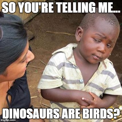 Third World Skeptical Kid | SO YOU'RE TELLING ME... DINOSAURS ARE BIRDS? | image tagged in memes,third world skeptical kid | made w/ Imgflip meme maker