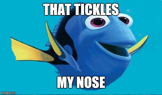 THAT TICKLES MY NOSE | made w/ Imgflip meme maker