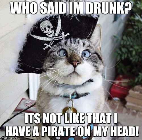 Spangles Meme | WHO SAID IM DRUNK? ITS NOT LIKE THAT I HAVE A PIRATE ON MY HEAD! | image tagged in memes,spangles | made w/ Imgflip meme maker