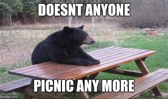 DOESNT ANYONE PICNIC ANY MORE | made w/ Imgflip meme maker