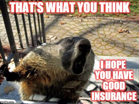 THAT'S WHAT YOU THINK I HOPE YOU HAVE GOOD INSURANCE | made w/ Imgflip meme maker