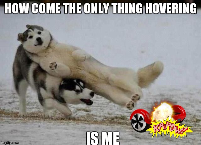 "Hover" my tail! | HOW COME THE ONLY THING HOVERING; IS ME | image tagged in hoverboard,dogs,explosion,funny meme | made w/ Imgflip meme maker