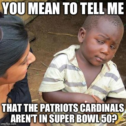 Third World Skeptical Kid | YOU MEAN TO TELL ME; THAT THE PATRIOTS CARDINALS AREN'T IN SUPER BOWL 50? | image tagged in memes,third world skeptical kid | made w/ Imgflip meme maker