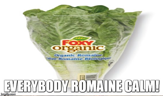 EVERYBODY ROMAINE CALM! | made w/ Imgflip meme maker