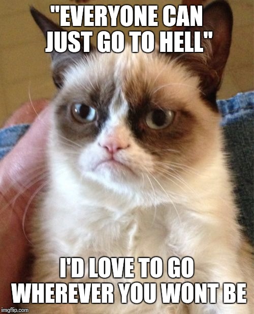 Grumpy Cat Meme | "EVERYONE CAN JUST GO TO HELL"; I'D LOVE TO GO WHEREVER YOU WONT BE | image tagged in memes,grumpy cat | made w/ Imgflip meme maker