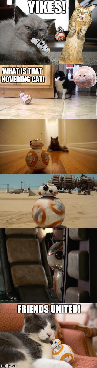 The adventures of BB-8 searching for his friend | YIKES! WHAT IS THAT HOVERING CAT! FRIENDS UNITED! | image tagged in memes,star wars | made w/ Imgflip meme maker