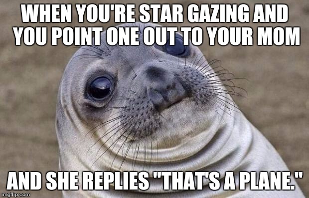 Awkward Moment Sealion Meme | WHEN YOU'RE STAR GAZING AND YOU POINT ONE OUT TO YOUR MOM AND SHE REPLIES "THAT'S A PLANE." | image tagged in memes,awkward moment sealion | made w/ Imgflip meme maker