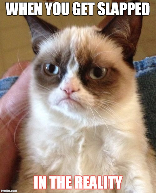 Grumpy Cat Meme | WHEN YOU GET SLAPPED; IN THE REALITY | image tagged in memes,grumpy cat | made w/ Imgflip meme maker