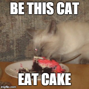 Be This Cat Eat Cake | BE THIS CAT; EAT CAKE | image tagged in cats | made w/ Imgflip meme maker