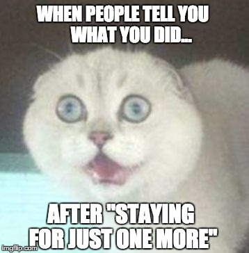 WHEN PEOPLE TELL YOU     WHAT YOU DID... AFTER "STAYING FOR JUST ONE MORE" | image tagged in cat,cats,drinking,drink | made w/ Imgflip meme maker