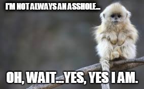 Cute but... | I'M NOT ALWAYS AN ASSHOLE... OH, WAIT...YES, YES I AM. | image tagged in cute,monkey,asshole | made w/ Imgflip meme maker