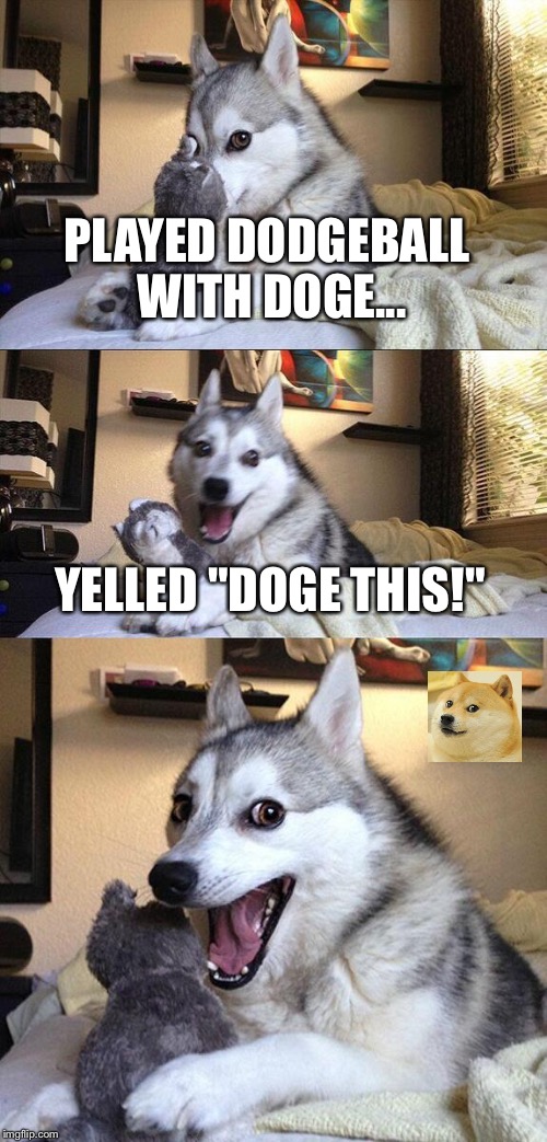 Doge-Ball | PLAYED DODGEBALL WITH DOGE... YELLED "DOGE THIS!" | image tagged in memes,bad pun dog,doge | made w/ Imgflip meme maker