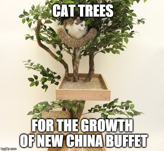 CAT TREES; FOR THE GROWTH OF NEW CHINA BUFFET | image tagged in cat tree,memes,funny memes | made w/ Imgflip meme maker