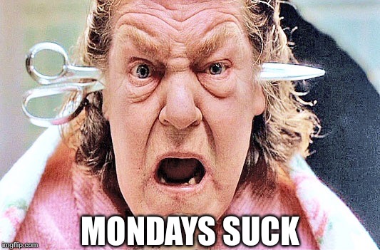 Momma hates Mondays | MONDAYS SUCK | image tagged in momma,mondays | made w/ Imgflip meme maker