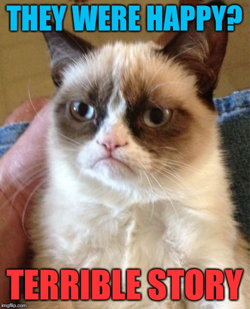 Grumpy Cat Meme | THEY WERE HAPPY? TERRIBLE STORY | image tagged in memes,grumpy cat | made w/ Imgflip meme maker