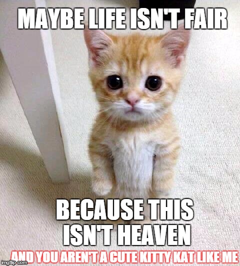 Cute Cat | MAYBE LIFE ISN'T FAIR; BECAUSE THIS ISN'T HEAVEN; AND YOU AREN'T A CUTE KITTY KAT LIKE ME | image tagged in memes,cute cat | made w/ Imgflip meme maker