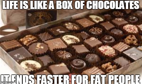LIFE IS LIKE A BOX OF CHOCOLATES; IT ENDS FASTER FOR FAT PEOPLE | image tagged in chocolae | made w/ Imgflip meme maker