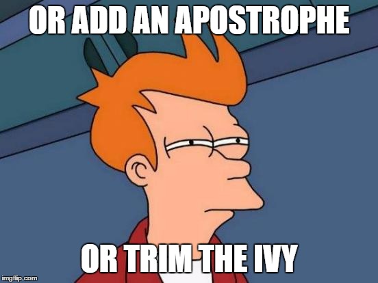 Futurama Fry Meme | OR ADD AN APOSTROPHE OR TRIM THE IVY | image tagged in memes,futurama fry | made w/ Imgflip meme maker