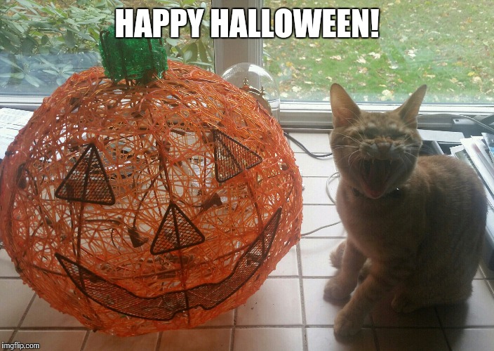 HAPPY HALLOWEEN! | image tagged in halloween cat pumpkin | made w/ Imgflip meme maker