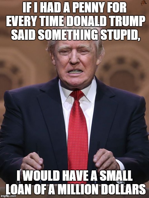 A very small loan | IF I HAD A PENNY FOR EVERY TIME DONALD TRUMP SAID SOMETHING STUPID, I WOULD HAVE A SMALL LOAN OF A MILLION DOLLARS | image tagged in donald trump,small loan,one million dollars | made w/ Imgflip meme maker