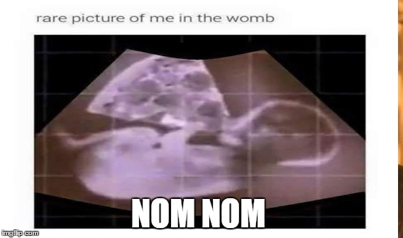 NOM NOM | made w/ Imgflip meme maker