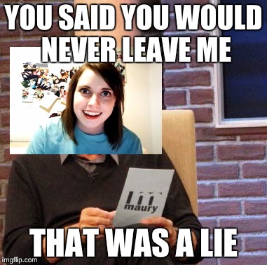 Maury Lie Detector | YOU SAID YOU WOULD NEVER LEAVE ME; THAT WAS A LIE | image tagged in memes,maury lie detector | made w/ Imgflip meme maker