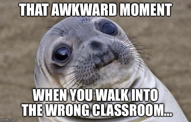 Awkward Moment Sealion | THAT AWKWARD MOMENT; WHEN YOU WALK INTO THE WRONG CLASSROOM... | image tagged in memes,awkward moment sealion | made w/ Imgflip meme maker